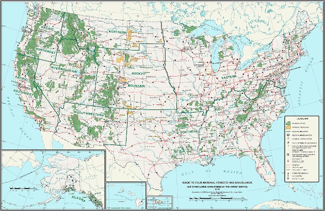 USA National Forest Map