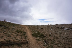 Open hillside with trail