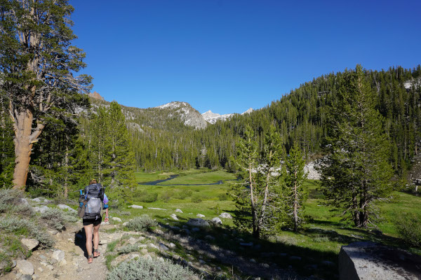 Fish Creek Meadow