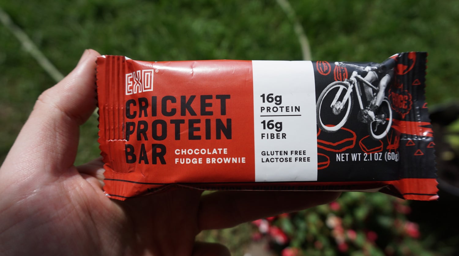 How Much Protein Is In A Cricket? Exo Cricket Protein Bar Review Two